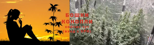 прущие крисы Беломорск