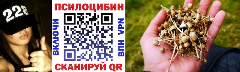 Галлюциногенные грибы MAGIC MUSHROOMS где найти мега вход Горячий Ключ
