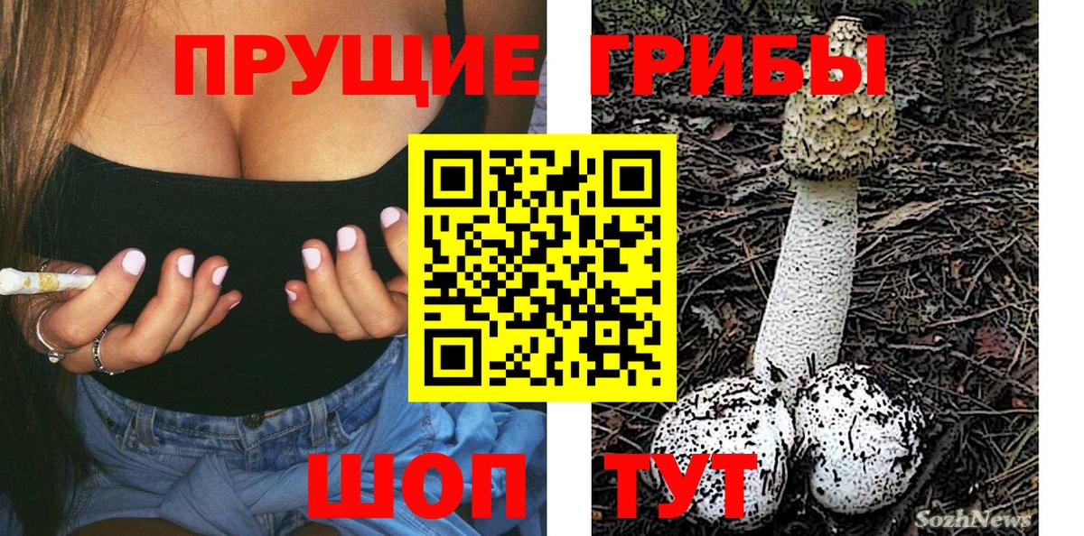 магазин продажи   Вход с VPN  Горячий Ключ  Галлюциногенные грибы Psilocybe  Псилоцибиновые грибы Psilocybine cubensis 