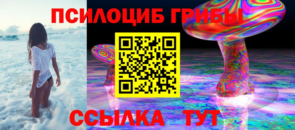 Псилоцибиновые грибы прущие грибы  Горячий Ключ  наркота  Галлюциногенные грибы ЛСД 