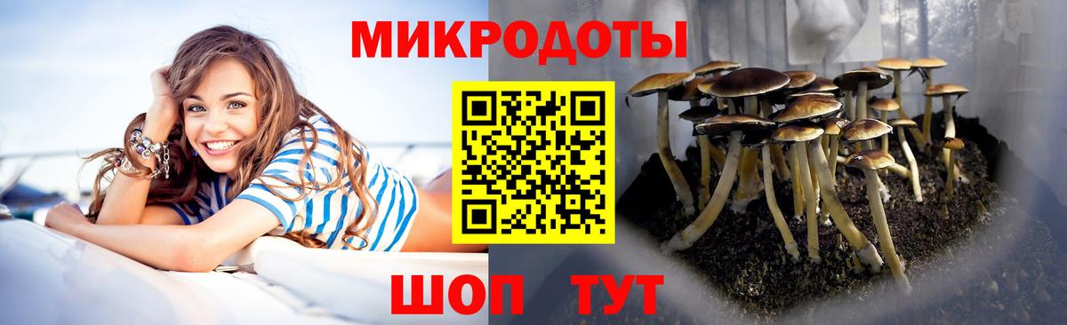 Псилоцибиновые грибы ЛСД Горячий Ключ